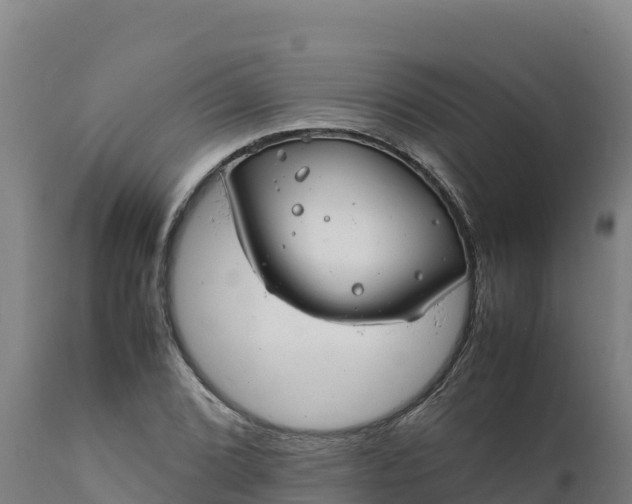 X0000112401072200908281744