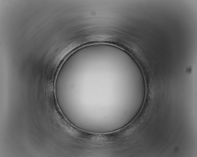 X0000112401073200908281744