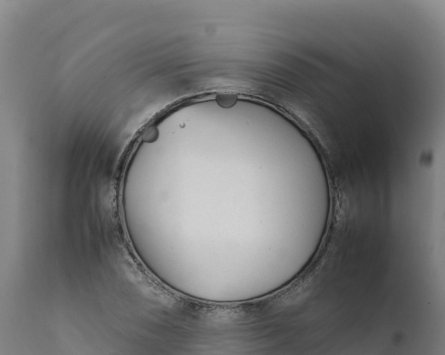 X0000112401074200908281744