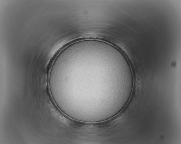 X0000112401075200908281744