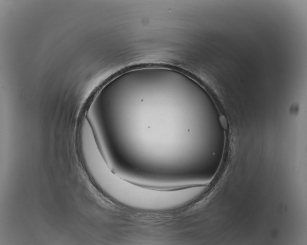 X0000112401077200908281744