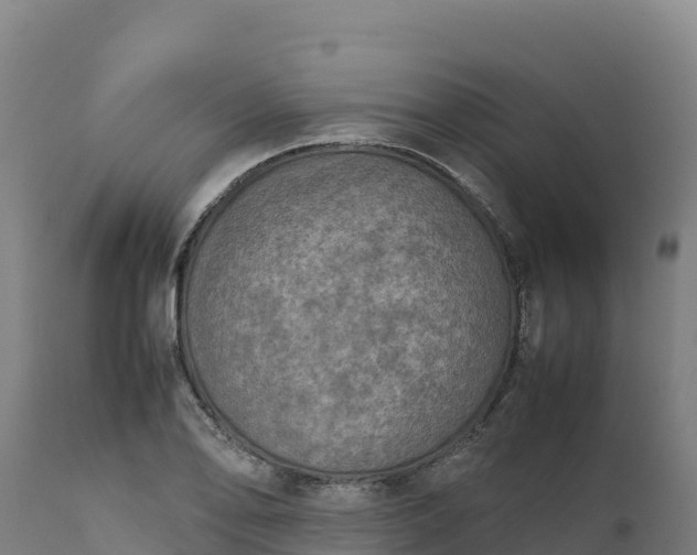 X0000112401078200908281744