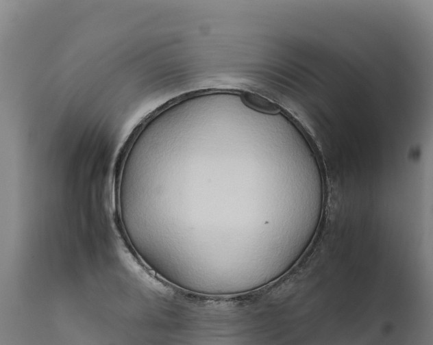 X0000112401080200908281744