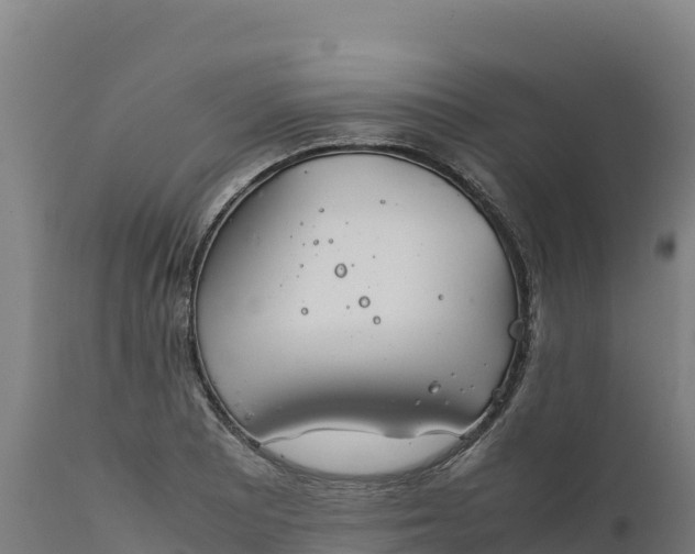X0000112401081200908281744