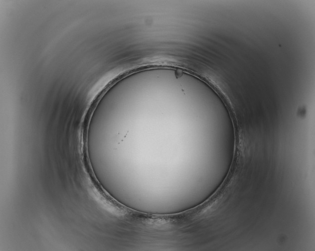 X0000112401082200908281744