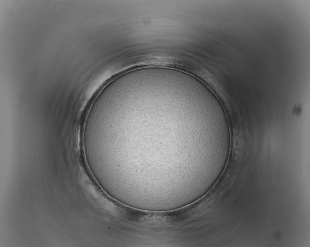 X0000112401083200908281744