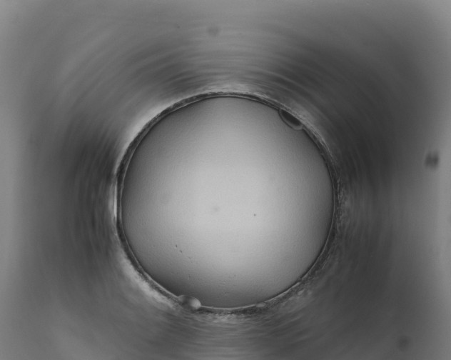 X0000112401084200908281744