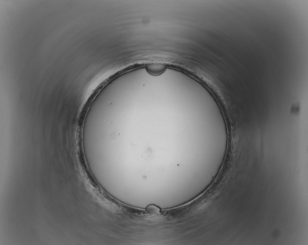 X0000112401085200908281744