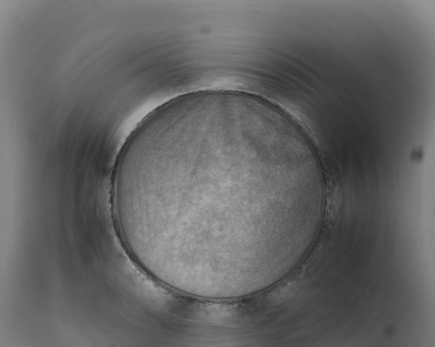 X0000112401086200908281744