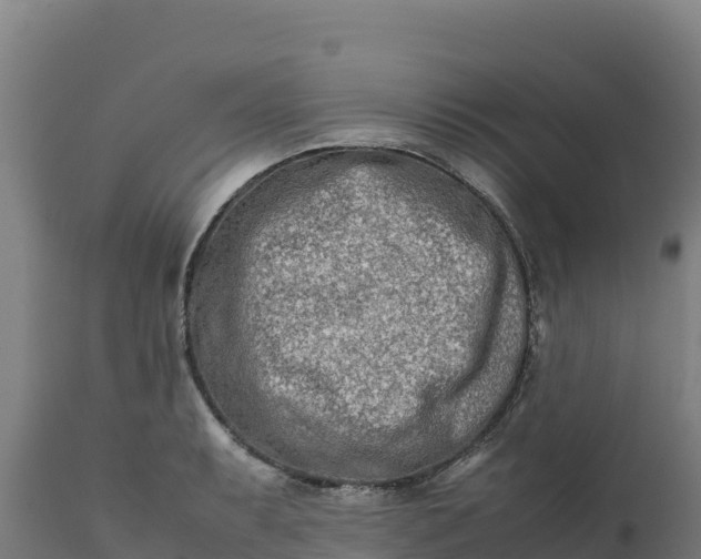 X0000112401087200908281744