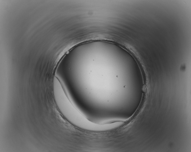 X0000112401089200908281744
