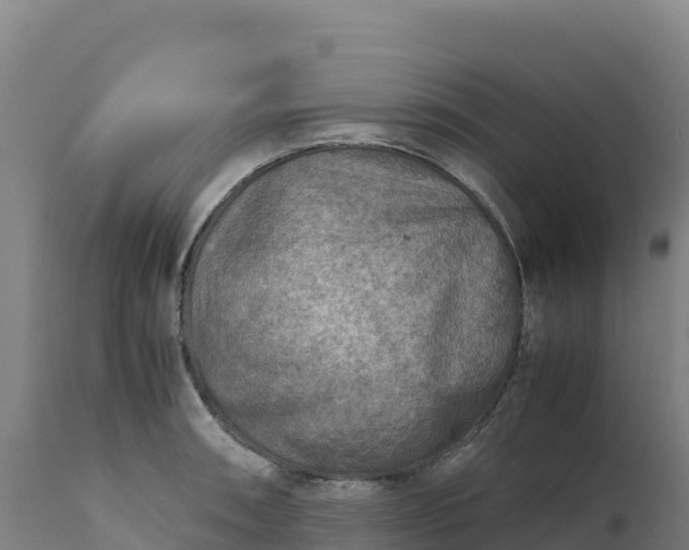 X0000112401090200908281744