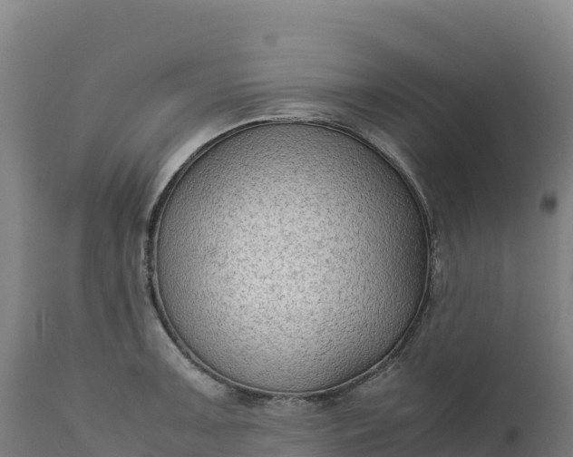 X0000112401091200908281744