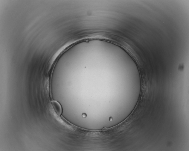 X0000112401092200908281744