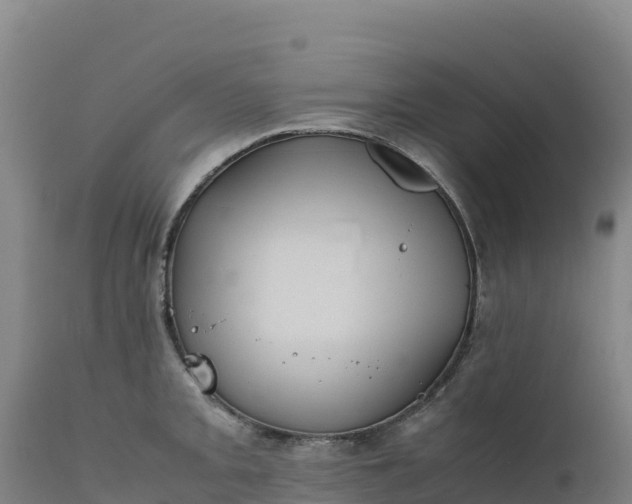 X0000112401093200908281744