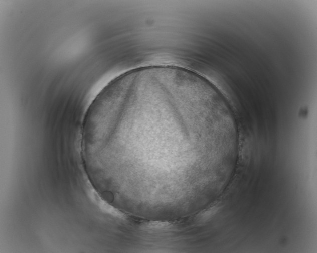 X0000112401094200908281744