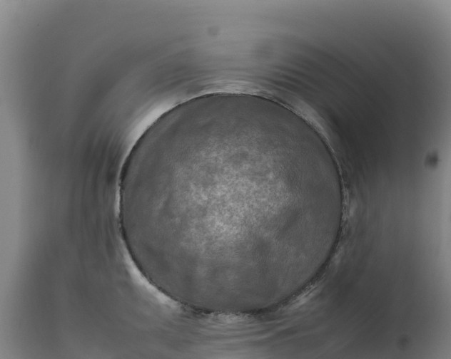 X0000112401095200908281744