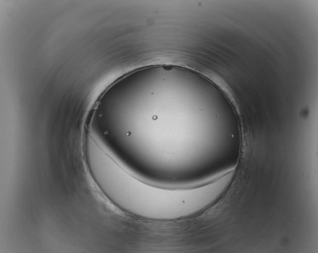 X0000112401096200908281744