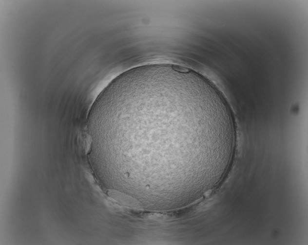 X0000112401097200908281744