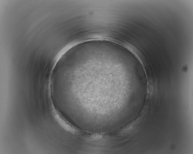 X0000112401098200908281744