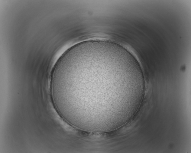X0000112401099200908281744