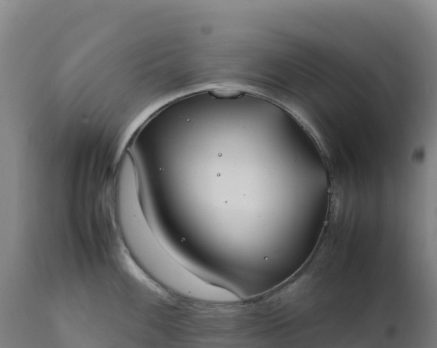 X0000112401100200908281744
