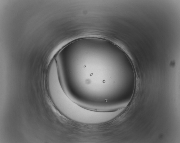 X0000112401101200908281744