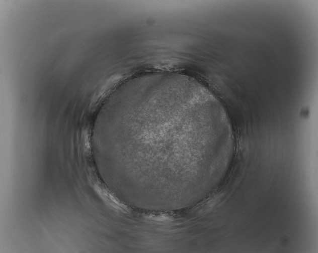 X0000112401106200908281743