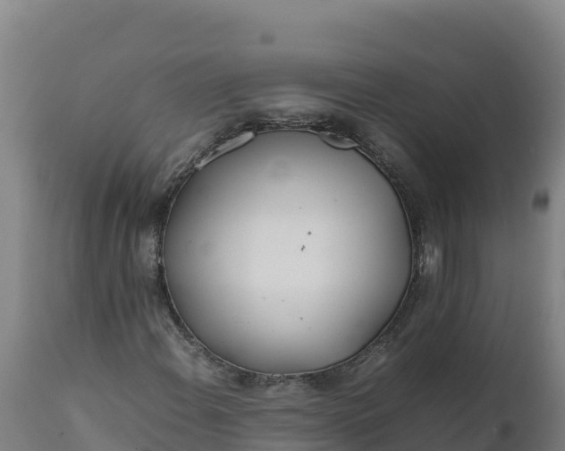 X0000112401108200908281743
