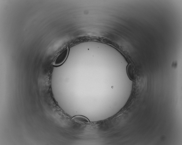 X0000112401110200908281743