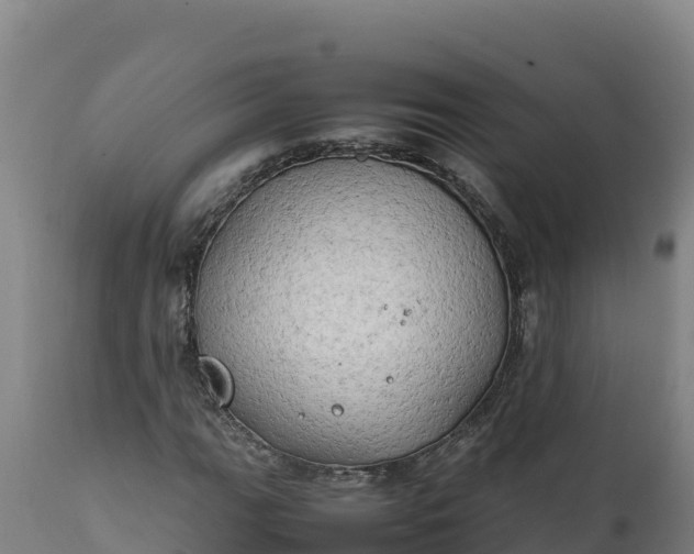 X0000112401111200908281743