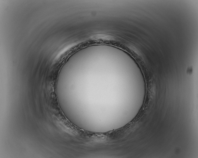 X0000112401112200908281743