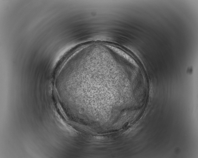 X0000112401115200908281743