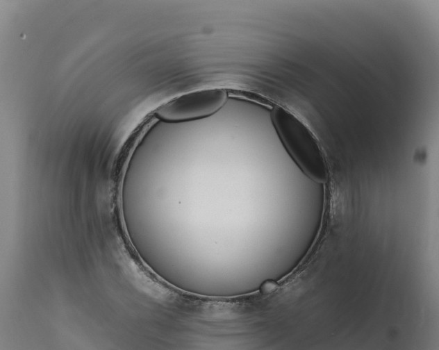 X0000112401116200908281743