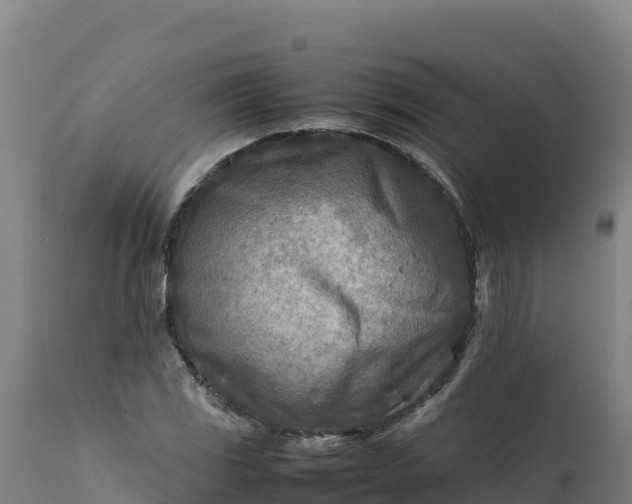 X0000112401117200908281743