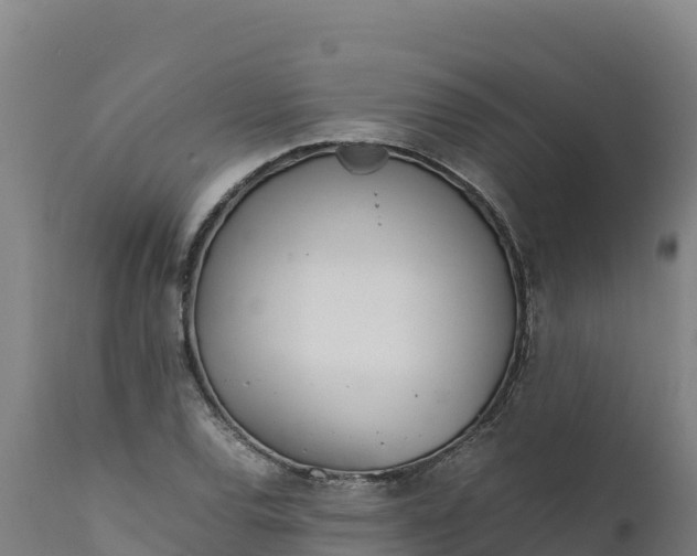 X0000112401120200908281743