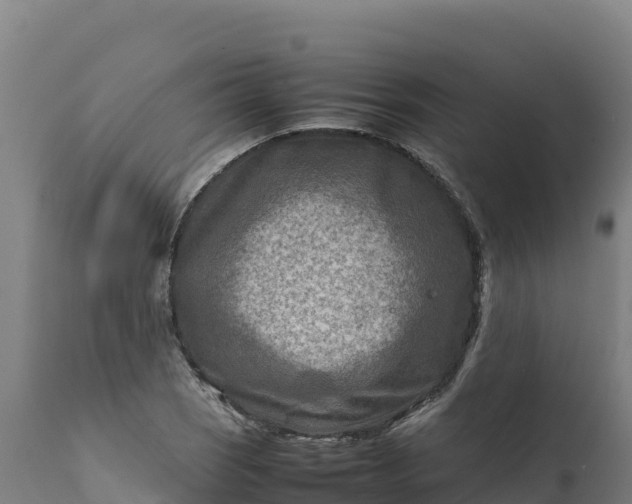 X0000112401121200908281743
