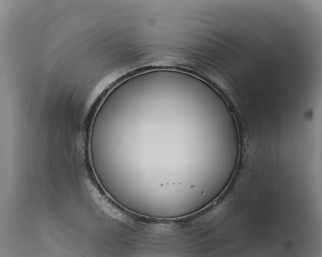 X0000112401122200908281743