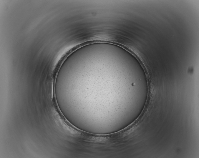 X0000112401123200908281744