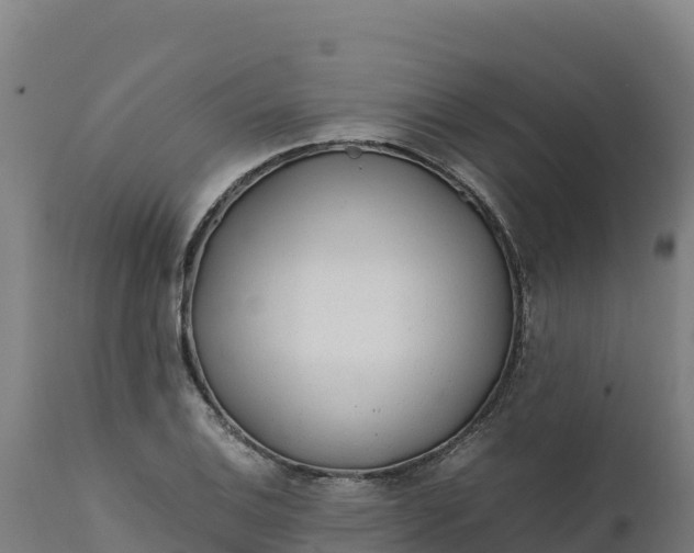 X0000112401124200908281744