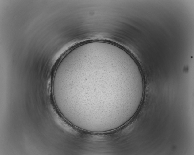 X0000112401126200908281744