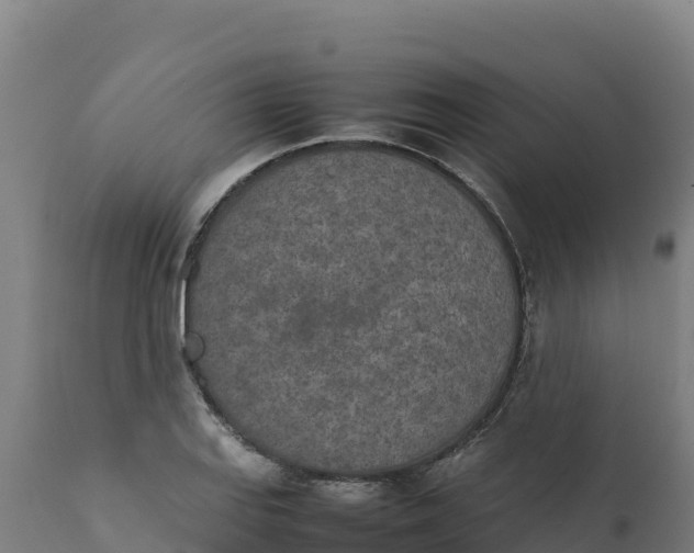 X0000112401127200908281744
