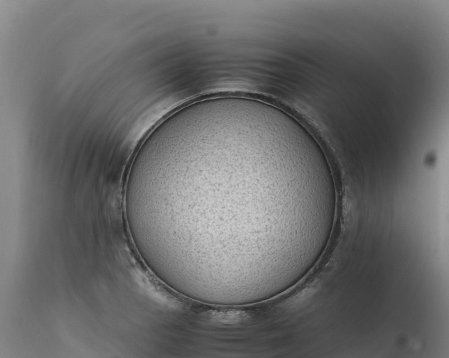 X0000112401129200908281744