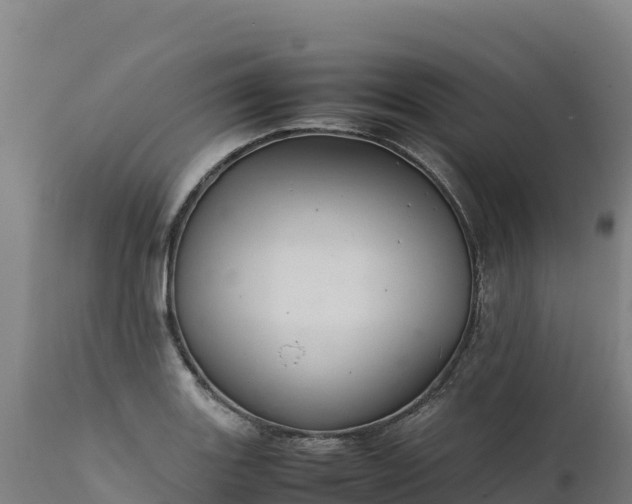 X0000112401131200908281744