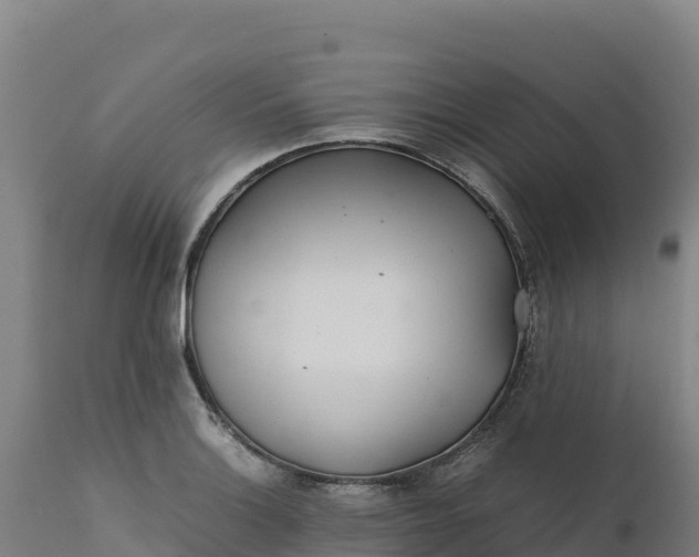 X0000112401132200908281744