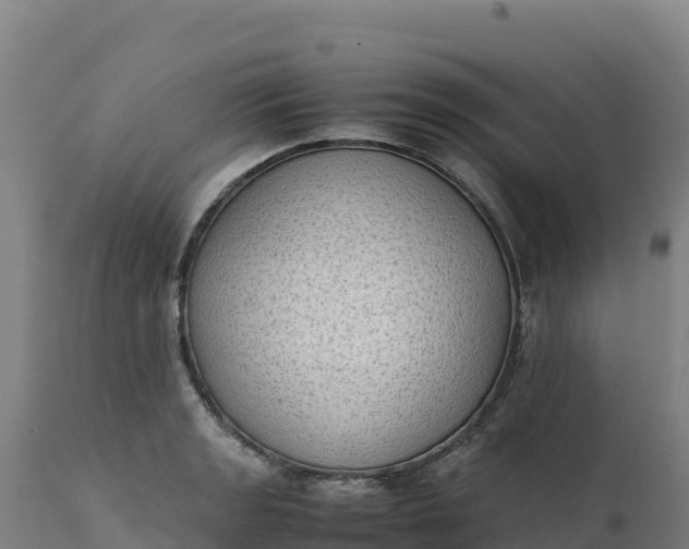 X0000112401133200908281744