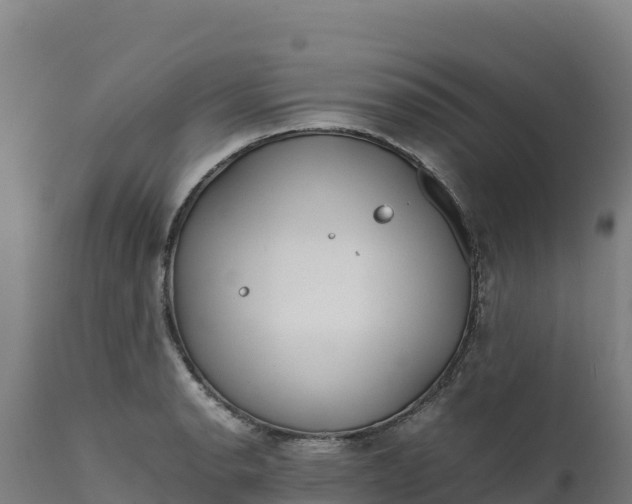 X0000112401134200908281744