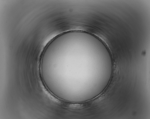 X0000112401135200908281744