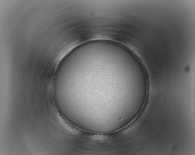 X0000112401137200908281744