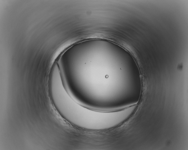 X0000112401138200908281744